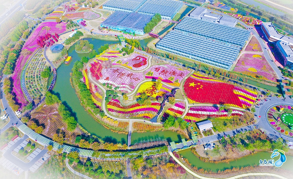 IM体育·(中国区)官方网站 -APP下载